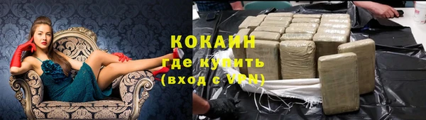индика Нефтекумск
