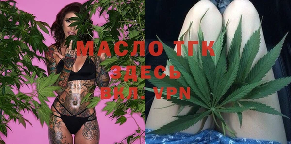 индика Нефтекумск