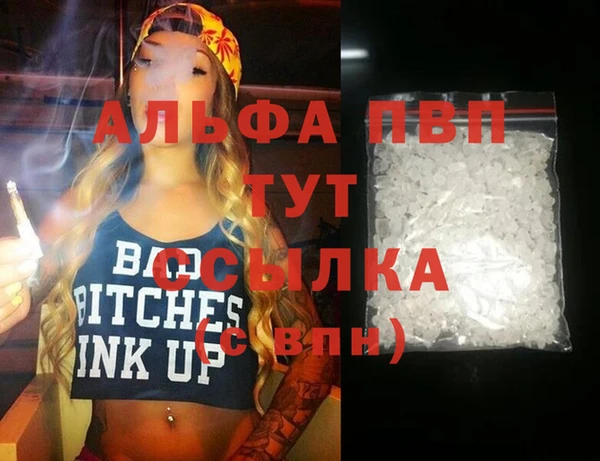индика Нефтекумск