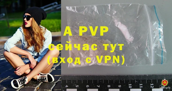 индика Нефтекумск