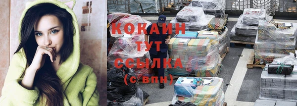 индика Нефтекумск