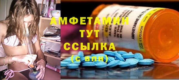 сатива Нея