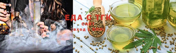 индика Нефтекумск