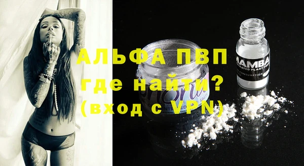 индика Нефтекумск