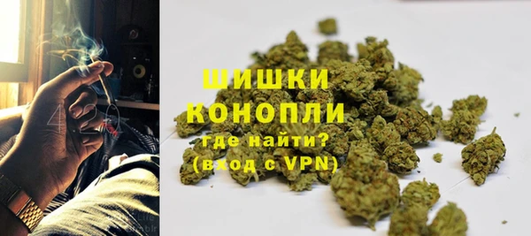 сатива Нея