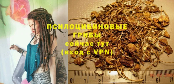 сатива Нея