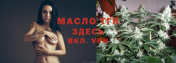 индика Нефтекумск