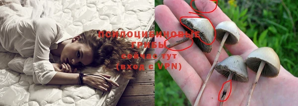 сатива Нея