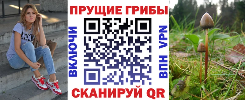 Псилоцибиновые грибы прущие грибы  Купить  Миньяр 
